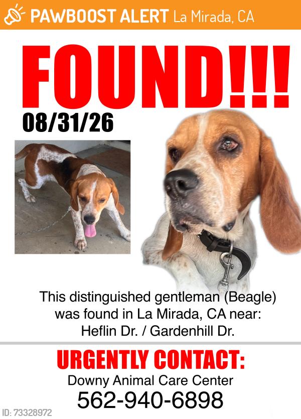 Found/Stray Male Dog last seen Heflin and Gardenhill, La Mirada, CA 90638