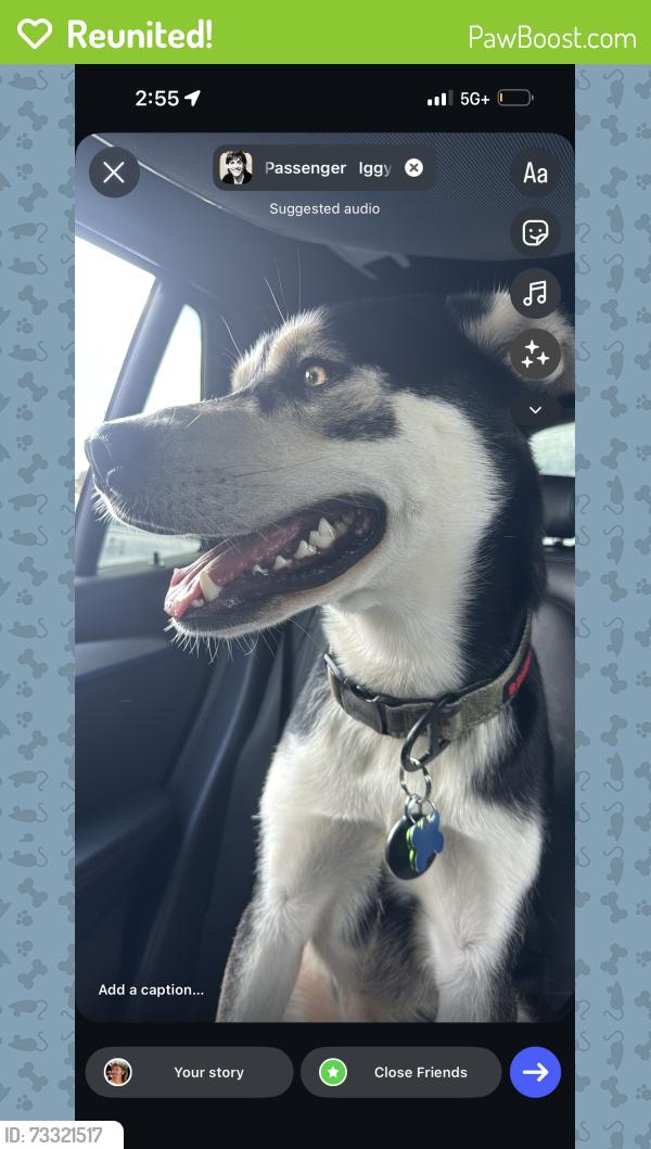 Reunited Male Dog last seen N. Druid Hills Rd. / Lavista, North Druid Hills, GA 30329