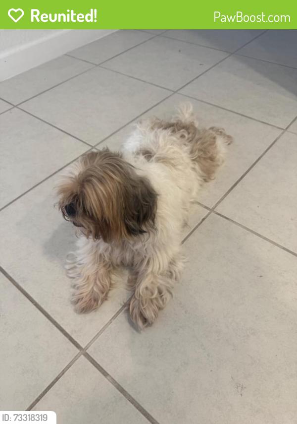 Reunited Male Dog last seen Near SW 232nd Ln, Princeton, FL 33032, USA, Princeton, FL 33032