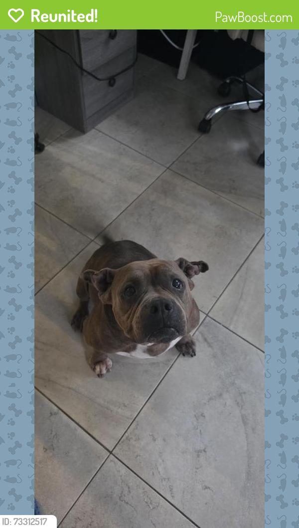 Reunited Female Dog last seen CHULUOTA, Chuluota, FL 32766