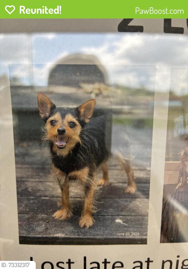 Reunited Male Dog last seen Colonial Heights, TN, USA, Colonial Heights, TN 37663
