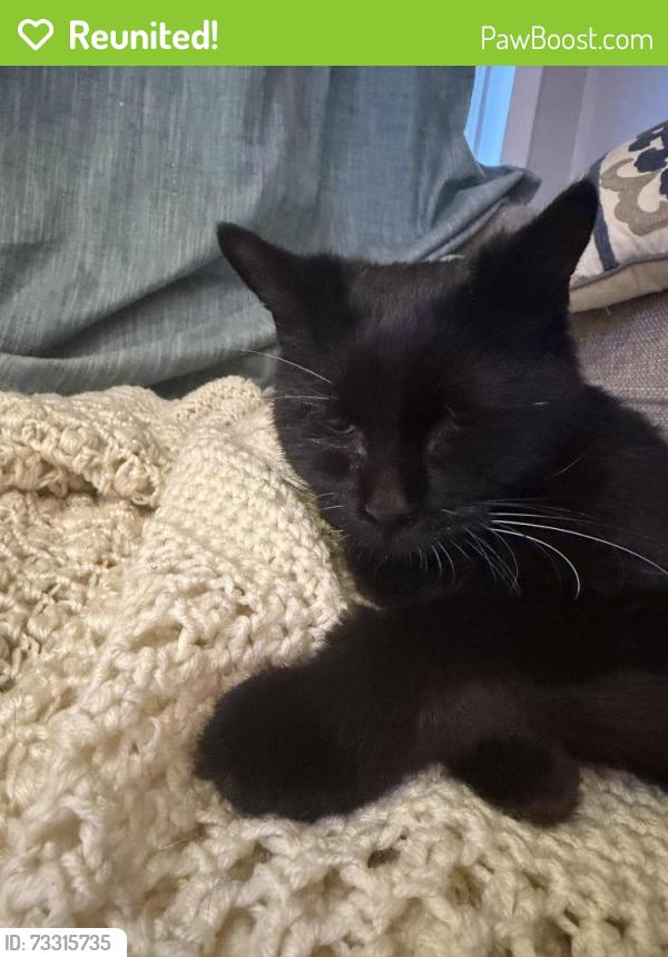 Reunited Male Cat last seen Oceanview Ave, Long Beach, NY 11561