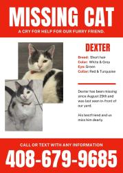 Lost Male Cat last seen Monterrey and Capitol, San Jose, CA 95116
