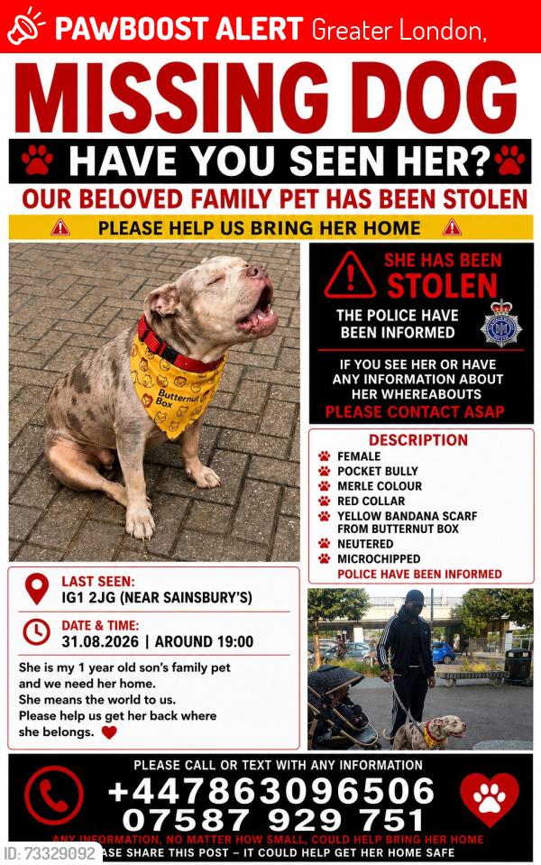 Lost Female Dog last seen Sainsbury, Greater London,  