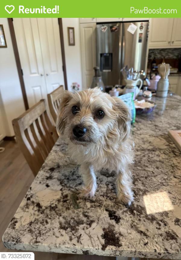 Reunited Female Dog last seen Fox Ln S, Salem, OR 97306