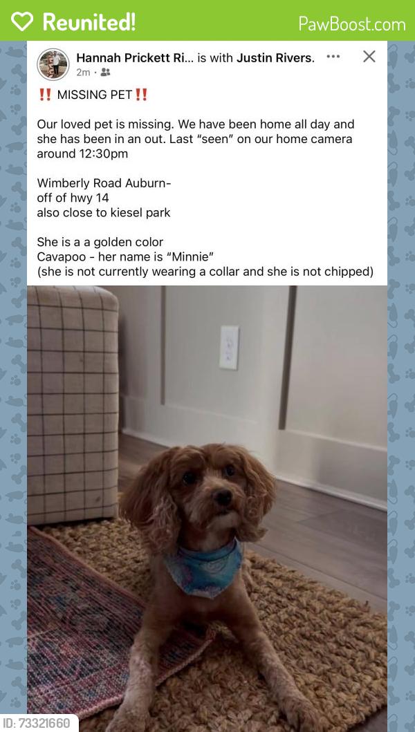 Reunited Female Dog last seen Around 12:30 on ring doorbell camera, Auburn, AL 36832