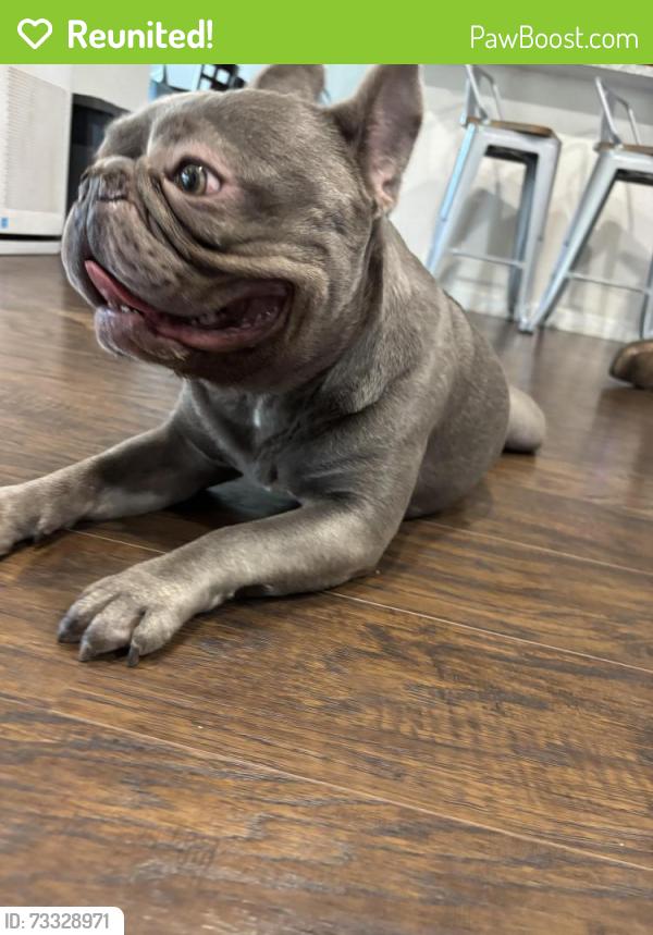 Reunited Male Dog last seen Misty Oaks and Grissom by Cathedral Rock Park, San Antonio, TX 78250