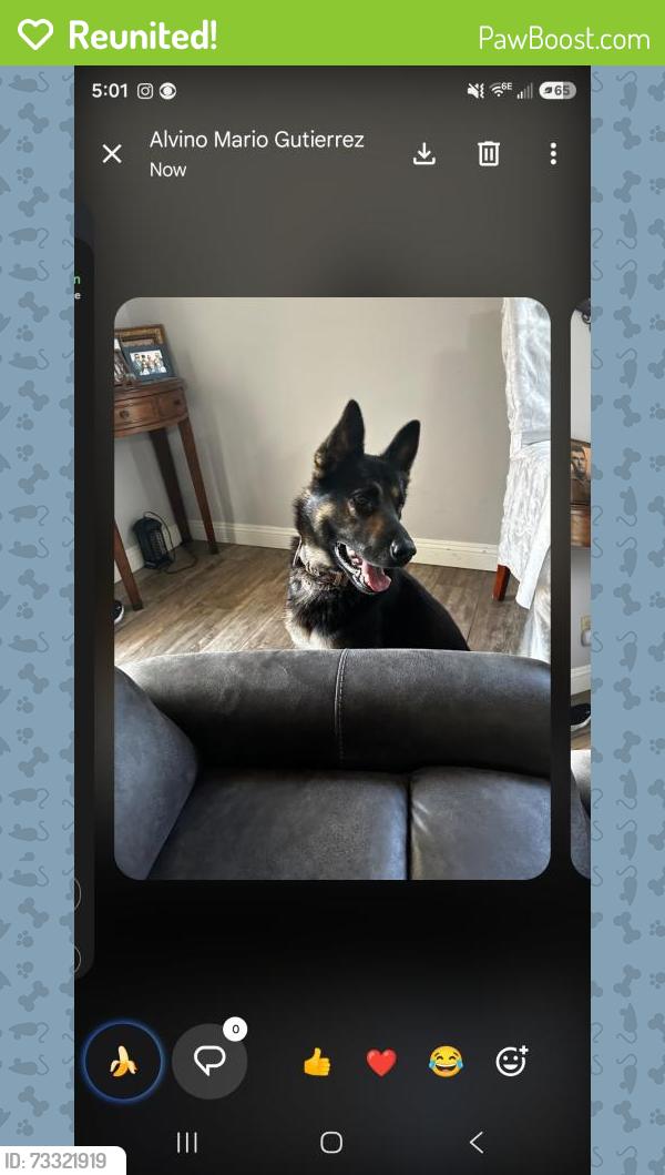 Reunited Male Dog last seen He always goes to heritage park when he gets loose 183rd and Bloomfield, Cerritos, CA 90703