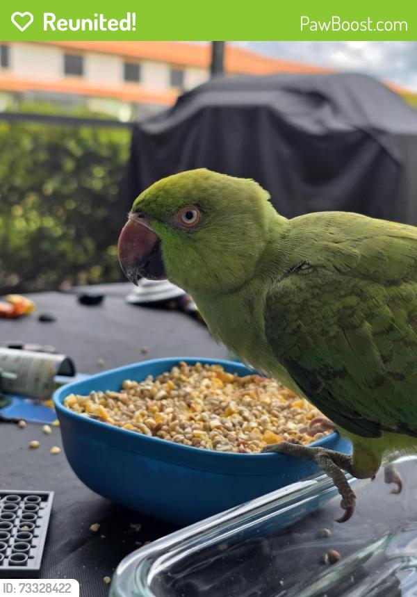 Reunited Unknown Bird last seen COLLIER BLVD, Naples, FL 34102