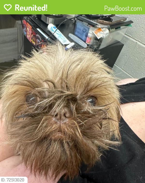 Reunited Male Dog last seen Amhurst Ridge Mobile s, Knoxville, TN 37909