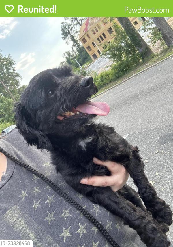 Reunited Female Dog last seen Near vintage dr, Henrico, VA 23229
