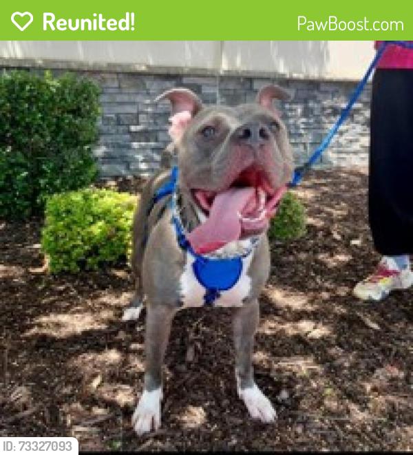 Reunited Male Dog last seen Near Biway St, Fort Worth, tx, 76114, Sansom Park, TX 76135