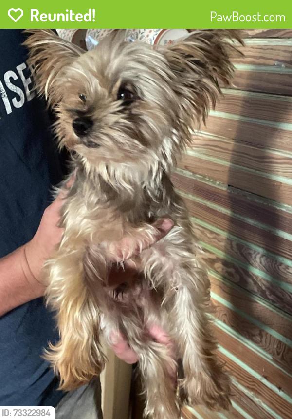 Reunited Male Dog last seen Oliver rd, Victoria, TX 77904