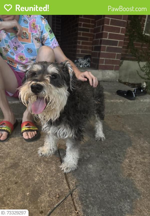 Reunited Male Dog last seen Near Roy Croft Ave, Helotes, TX 78023, USA, Helotes, TX 78023