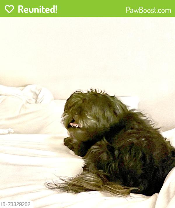 Reunited Female Dog last seen 88th Ave and Dudley Street, Westminster, CO 80021