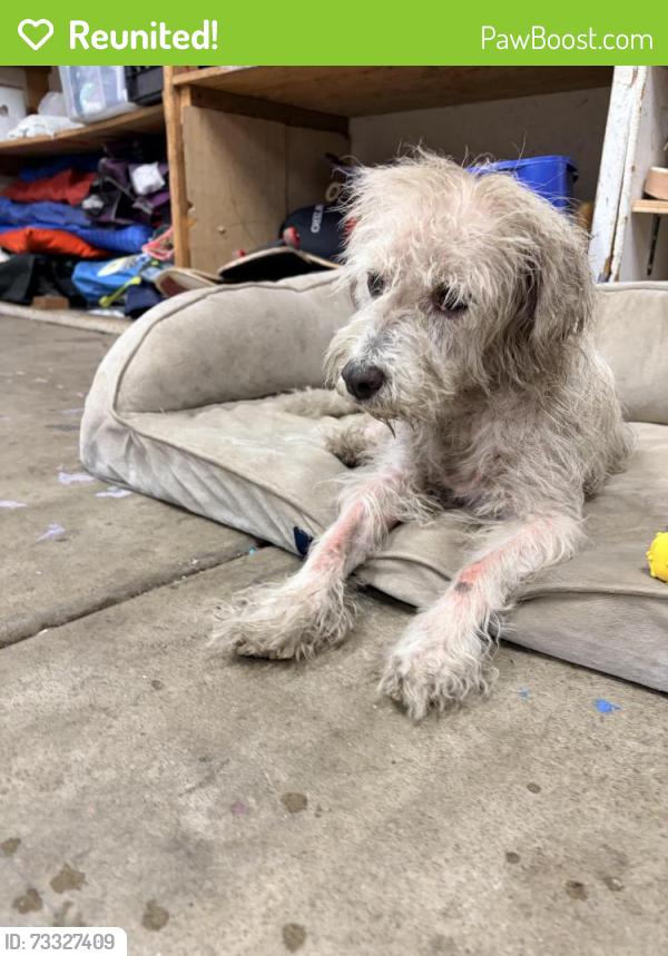 Reunited Male Dog last seen Palomar Pl & Oak Dr, Vista, CA 92084