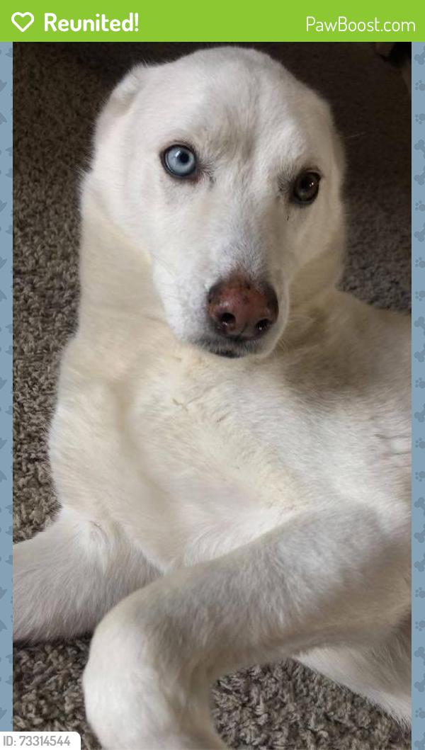 Reunited Female Dog last seen Beau dr, Mesquite, TX 75181