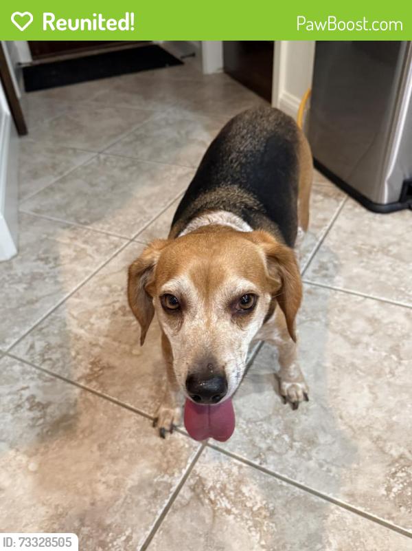 Reunited Male Dog last seen Deer Creek and McArthur, Edmond, OK 73013