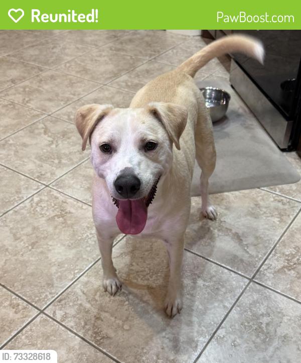 Reunited Male Dog last seen Deer Creek and McArthur, Edmond, OK 73013