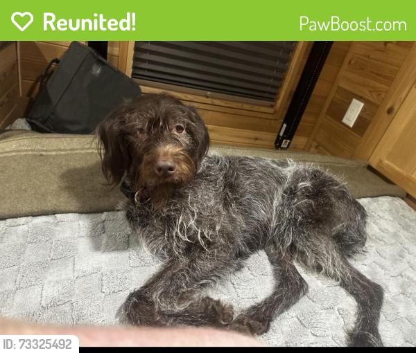 Reunited Female Dog last seen Near MN-48 Pathfinder Village, Hinckley, MN, Hinckley, MN 55037