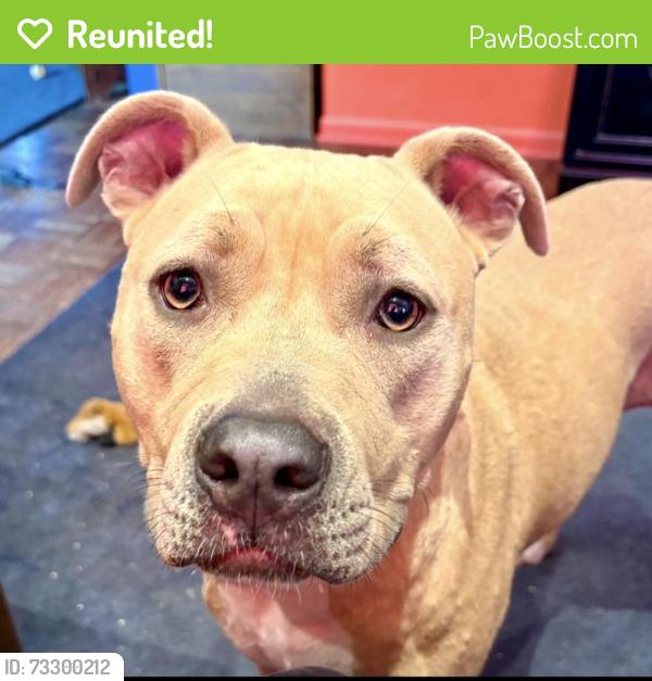 Reunited Female Dog last seen Prairie Star Parkway near Woodland, Lenexa, KS 66220