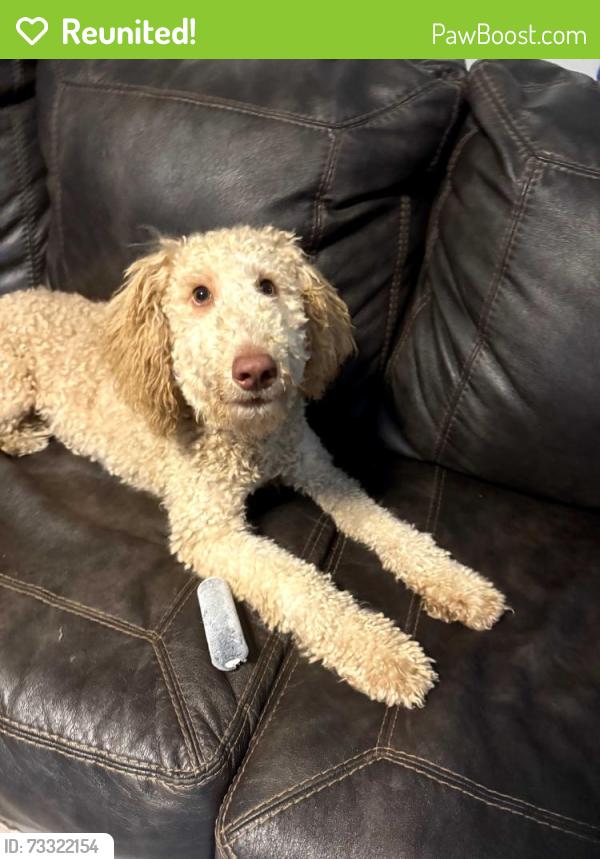 Reunited Male Dog last seen Hillside High School, Durham, NC 27707