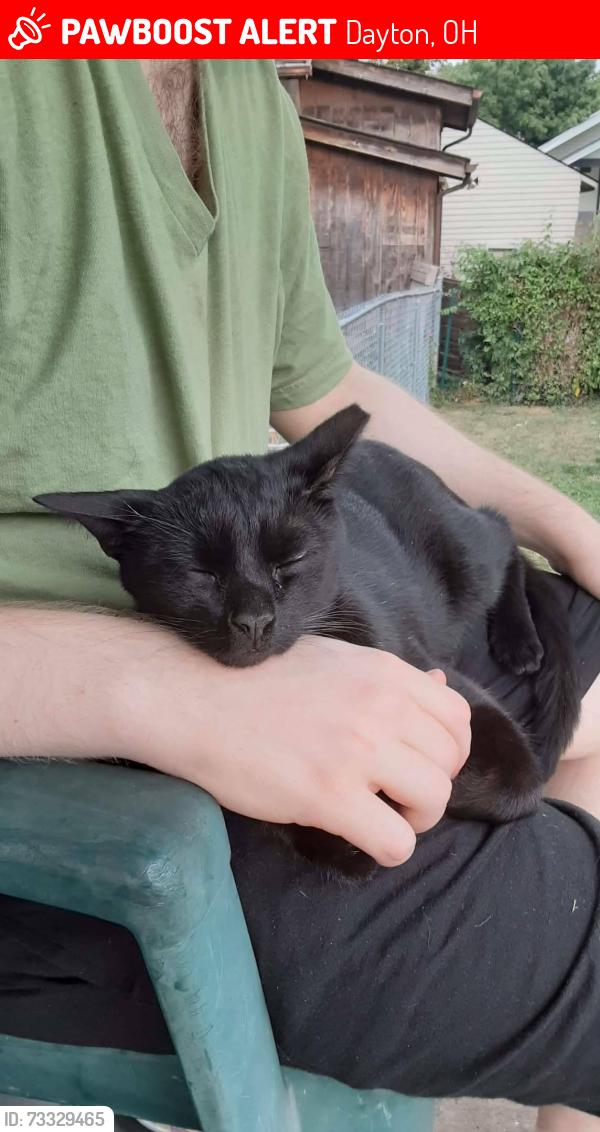 Lost Male Cat last seen Maranatha Worship Center, Dayton, OH 45416