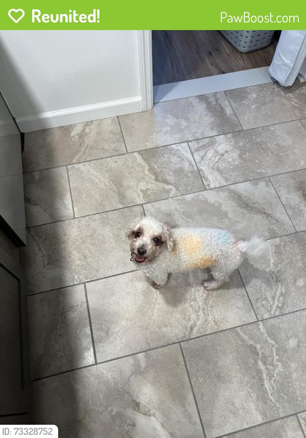 Reunited Female Dog last seen Bankway St, Lehighton, PA 18235, USA, Lehighton, PA 18235