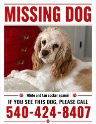 Reunited Female Dog last seen Jesse Lane, Ruther Glen, VA, Caroline County, VA 22546