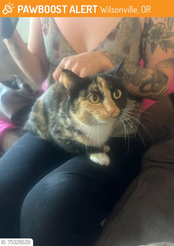 Found/Stray Female Cat last seen Jory Trail at The Grove Apartments, Wilsonville, OR 97070