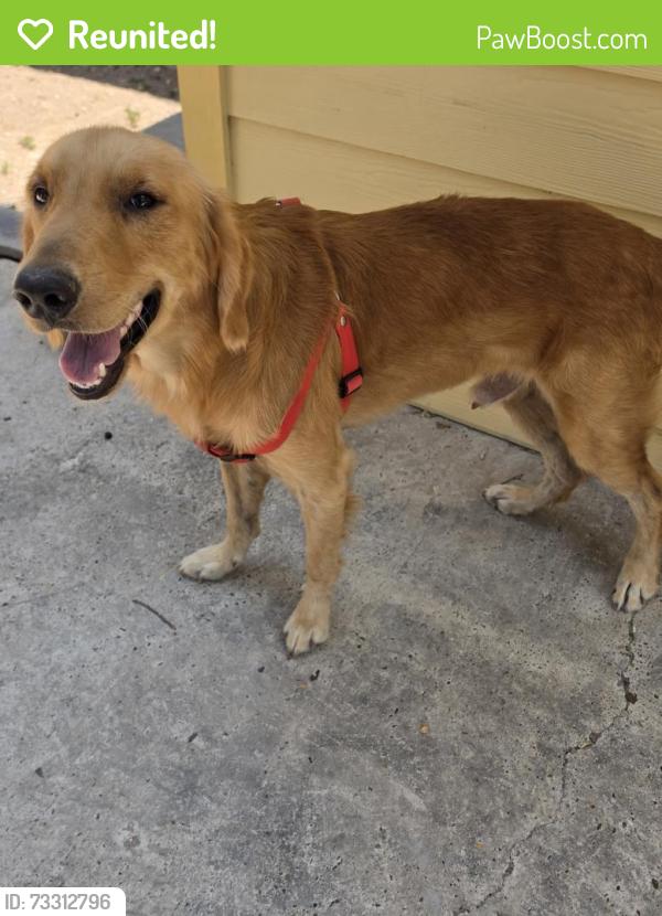 Reunited Male Dog last seen E Progressar drive Pharr 78577, Pharr, TX 78577