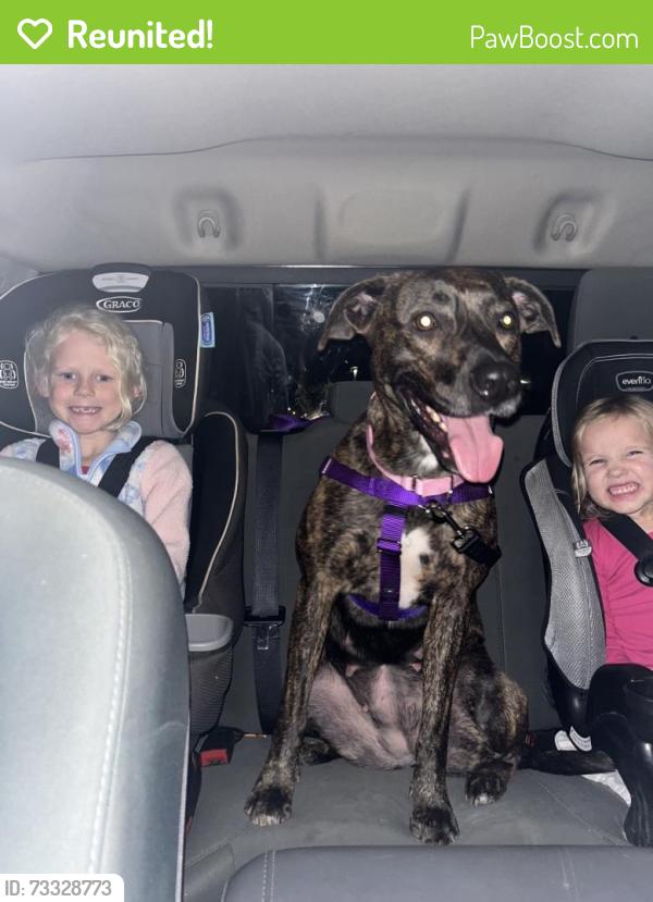 Reunited Female Dog last seen Sherwood, Navarre, FL 32566