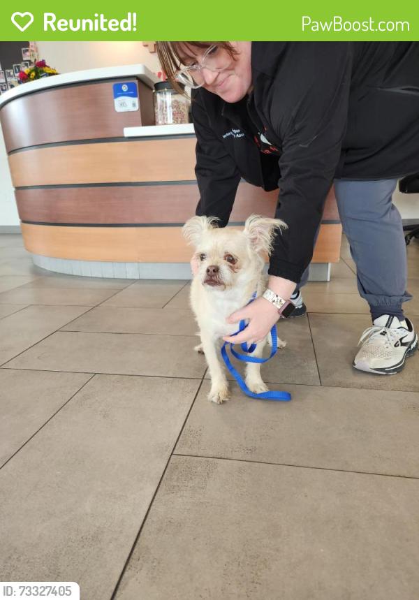 Reunited Female Dog last seen Weatherford Rd near Chapel Creek, Fort Worth, TX 76108