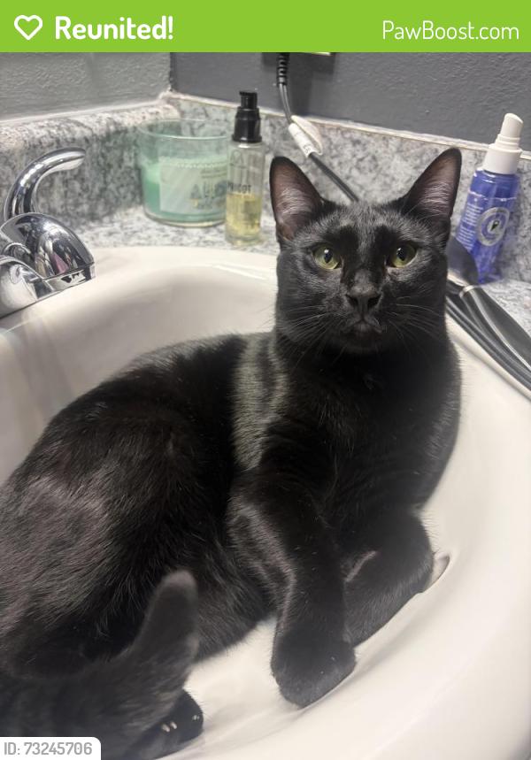 Reunited Male Cat last seen 106th st Norh by Rail road crossing, Owasso, OK 74055