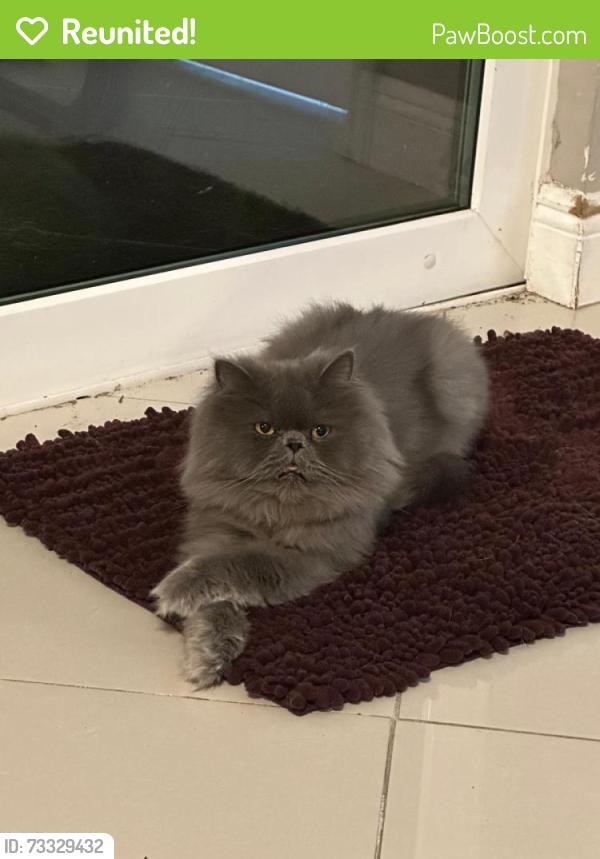 Reunited Male Cat last seen Osage and apache trail, Mesquite, TX 75149
