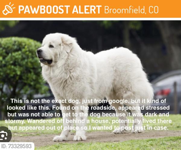 Found/Stray Unknown Dog last seen Huron and W 156th, Broomfield, CO 80023