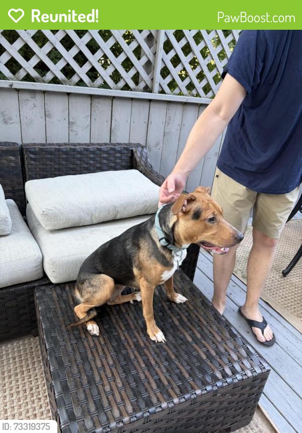 Reunited Female Dog last seen Short ridge High School, Indianapolis, IN 46208