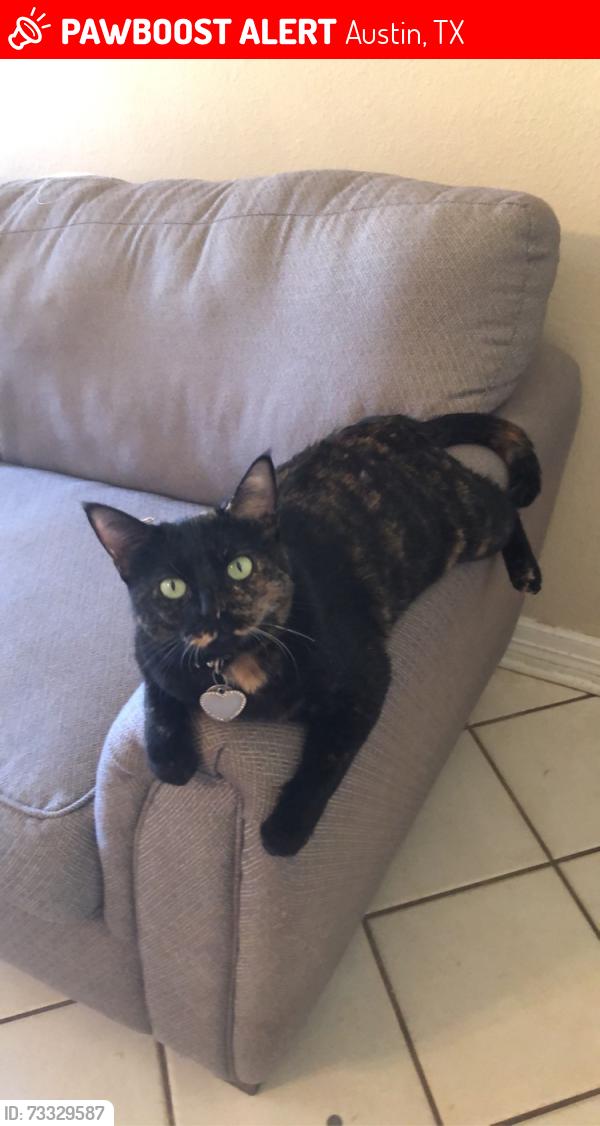 Lost Female Cat last seen Crownspoint and Nightjar, Austin, TX 78748