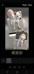 Found/Stray Unknown Dog last seen Morgan Park, Baldwin Park, CA 91706