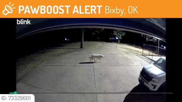 Found/Stray Unknown Dog last seen Near Deer Run ests (E 181st S / S 128th E Ct), Bixby, OK 74008