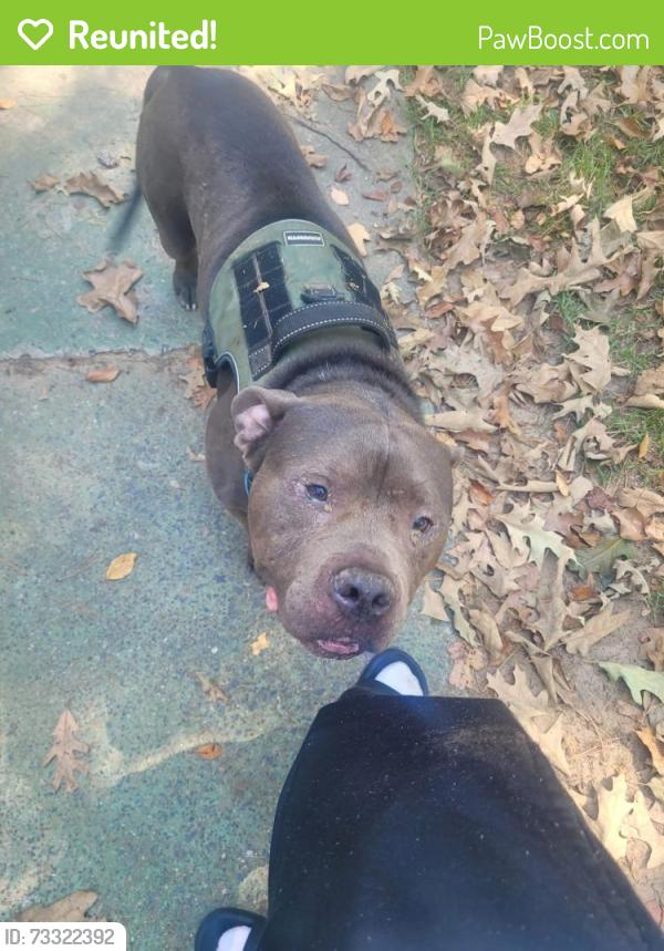 Reunited Male Dog last seen Westwood, Little Rock, AR 72204