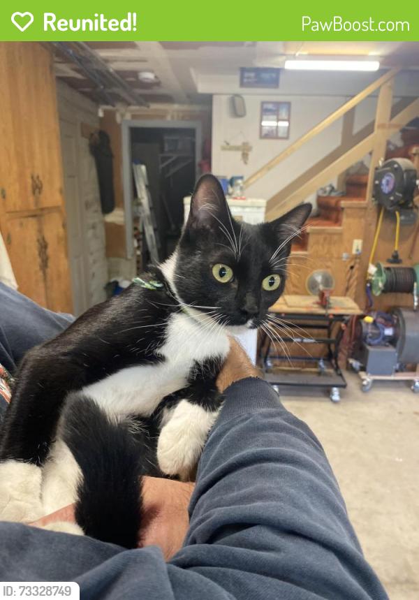 Reunited Unknown Cat last seen Harding/Hillcrest, Redwood City, CA 94062
