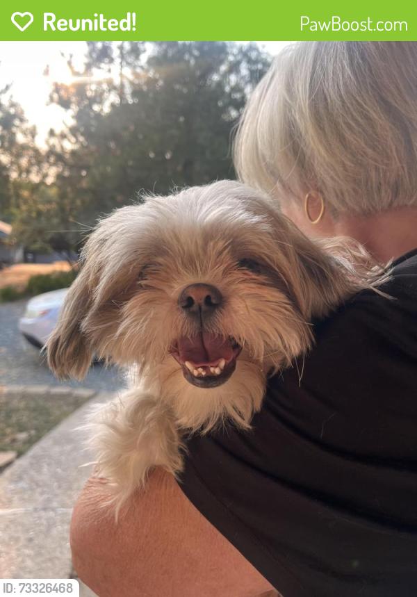 Reunited Female Dog last seen Eldel, Pine Grove, CA 95665