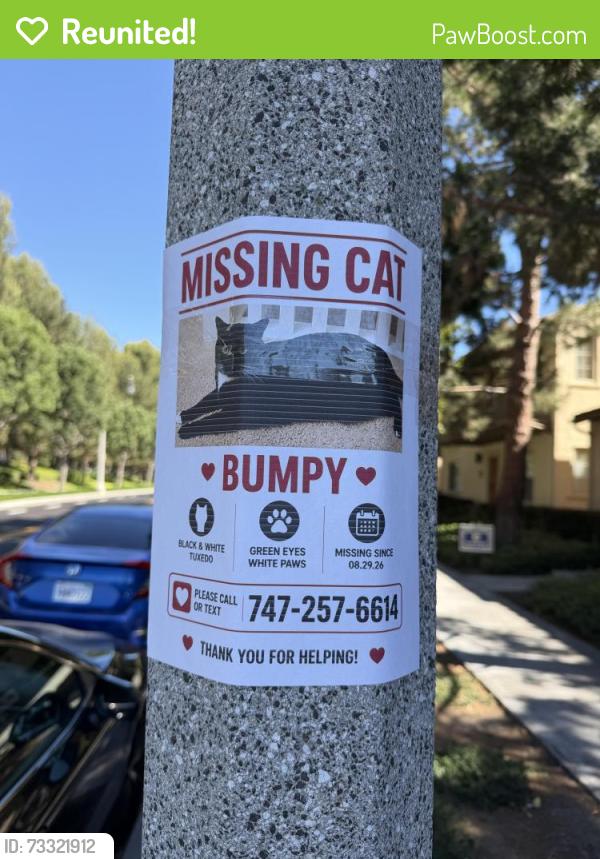 Reunited Male Cat last seen Near Cantor, Irvine, CA 92620, USA, Irvine, CA 92620