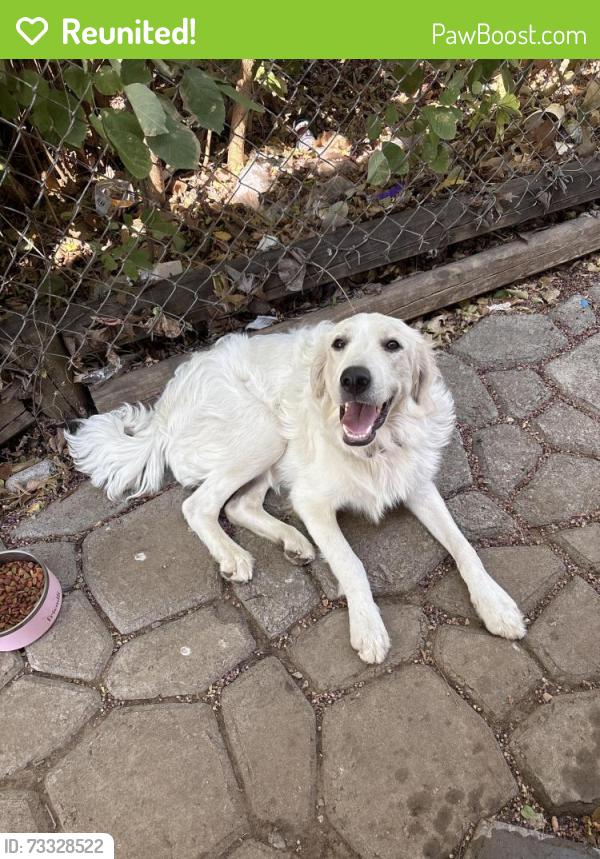 Reunited Female Dog last seen SW 59th St 73119 Area, Oklahoma City, OK 73119