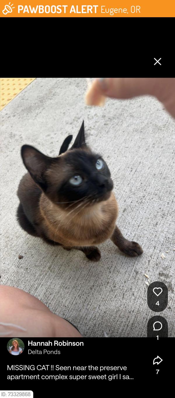 Found/Stray Female Cat last seen The preserve, Eugene, OR 97401