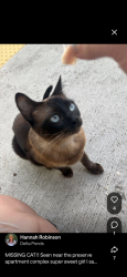 Found/Stray Female Cat last seen The preserve, Eugene, OR 97401