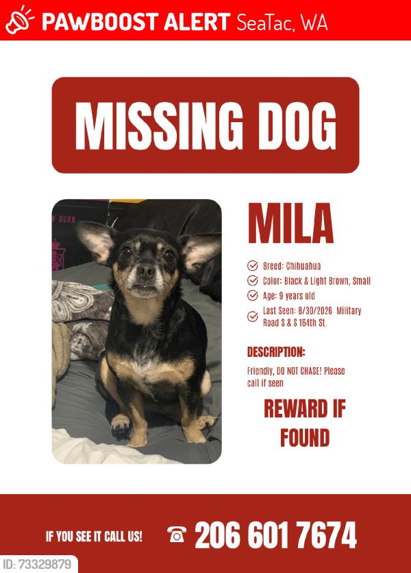 Lost Female Dog last seen She left from the gas station across from Ulysses bar, had one man say he allegedly saw her run south on military road toward 166th, SeaTac, WA 98188