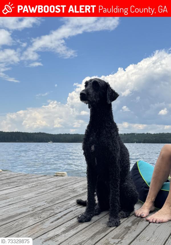 Lost Male Dog last seen Seven Hills, Paulding County, GA 30132