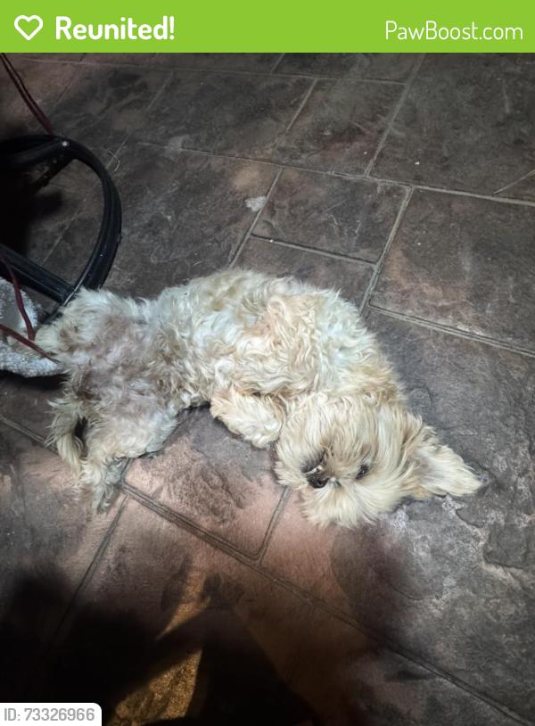 Reunited Female Dog last seen Palmetto, Fontana, CA 92335